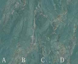 Show details for Green Wizard Oz Picture of Green Wizard Oz