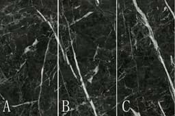 Show details for Sauro Black Picture of Sauro Black